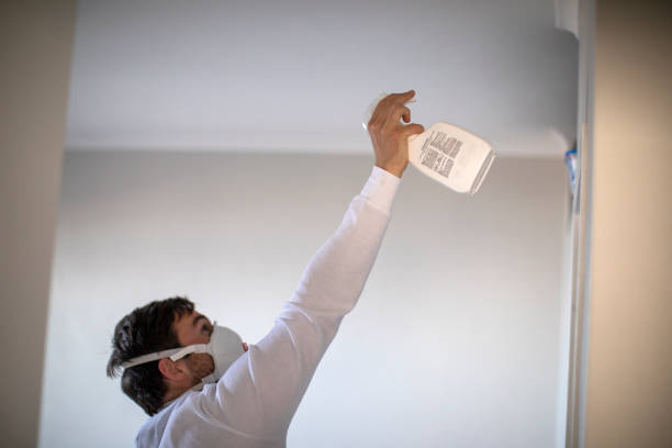 Home Mold Removal in Sleepy Eye, MN